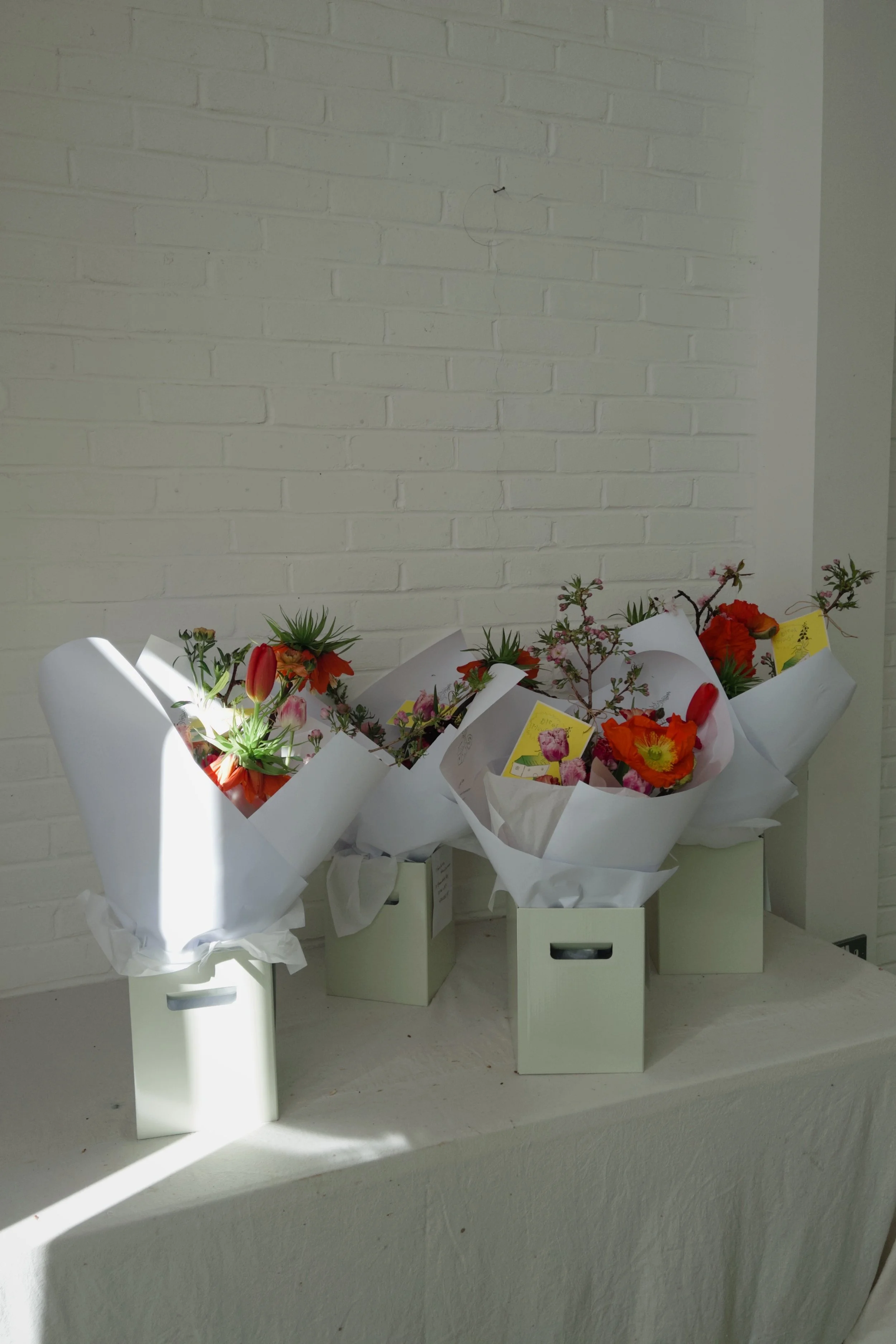 grdr 2025-03-29 120729.018.jpeg