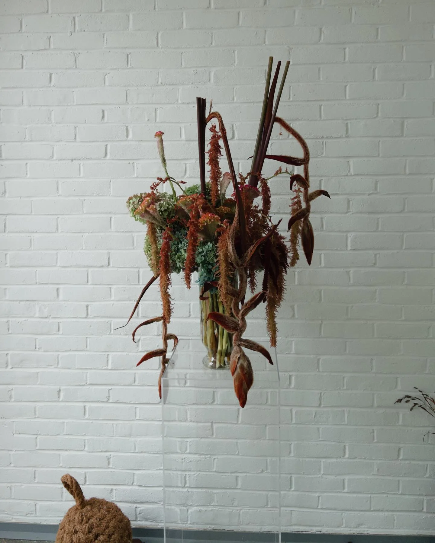 Big vases recently…
Autumnal, earthy tones πππ
#seasonalflowers #autumnvibesπ #flowerarrangement #eventflowers #londonflorist #η§