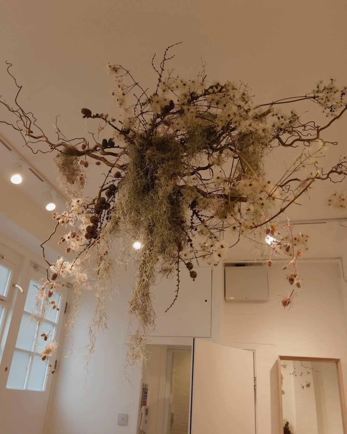 Some Wintery display for @ruthtomlinsonjewellery @locultose4 and @nayarea 
More to come! 
#shopdisplay #xmasdisplay #christmasshopping #floraldesign #floraldisplay #winterdisplay #windowdisplay #londonflorist