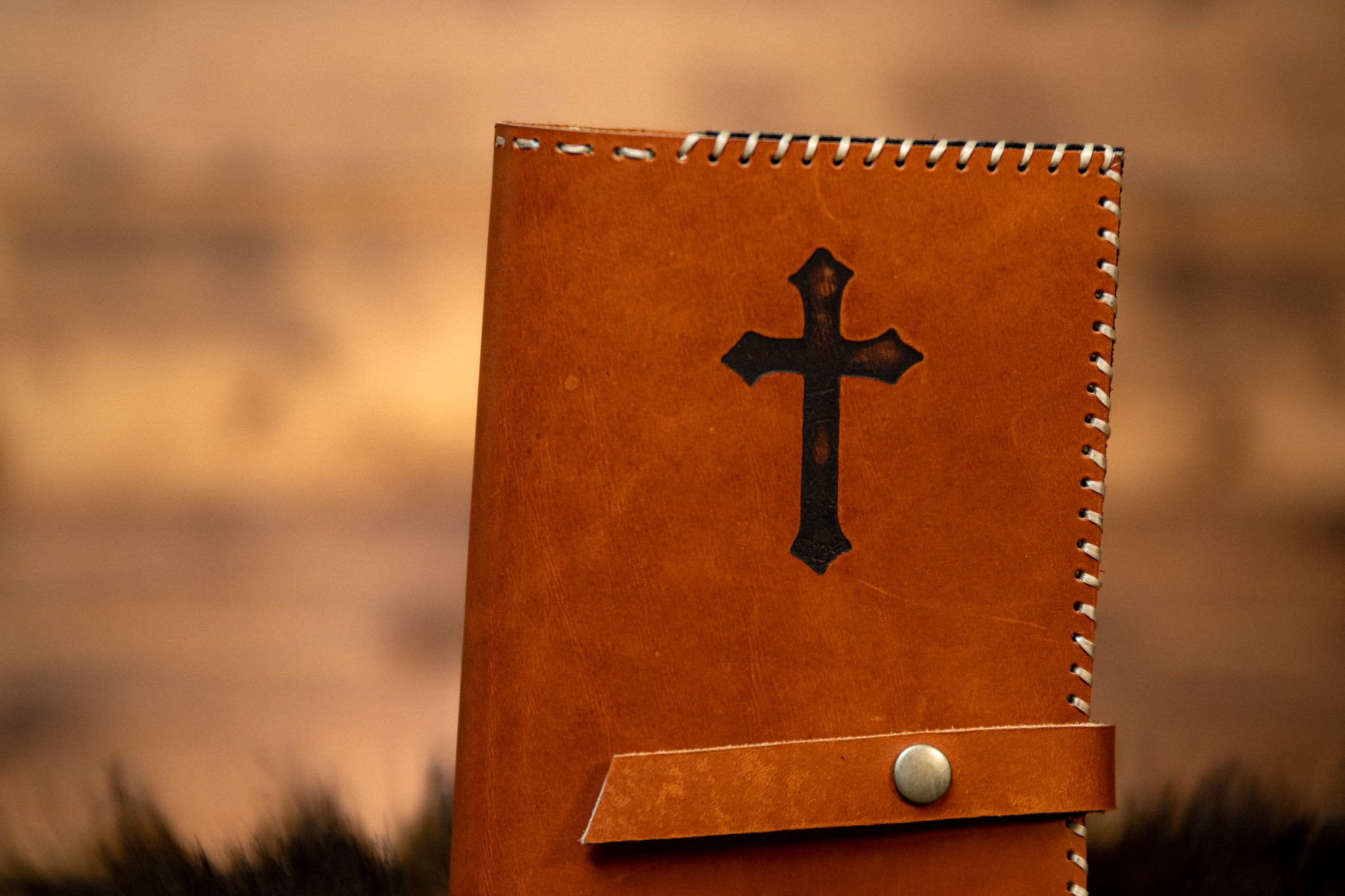 Antelope Breviary Cover-2.jpg