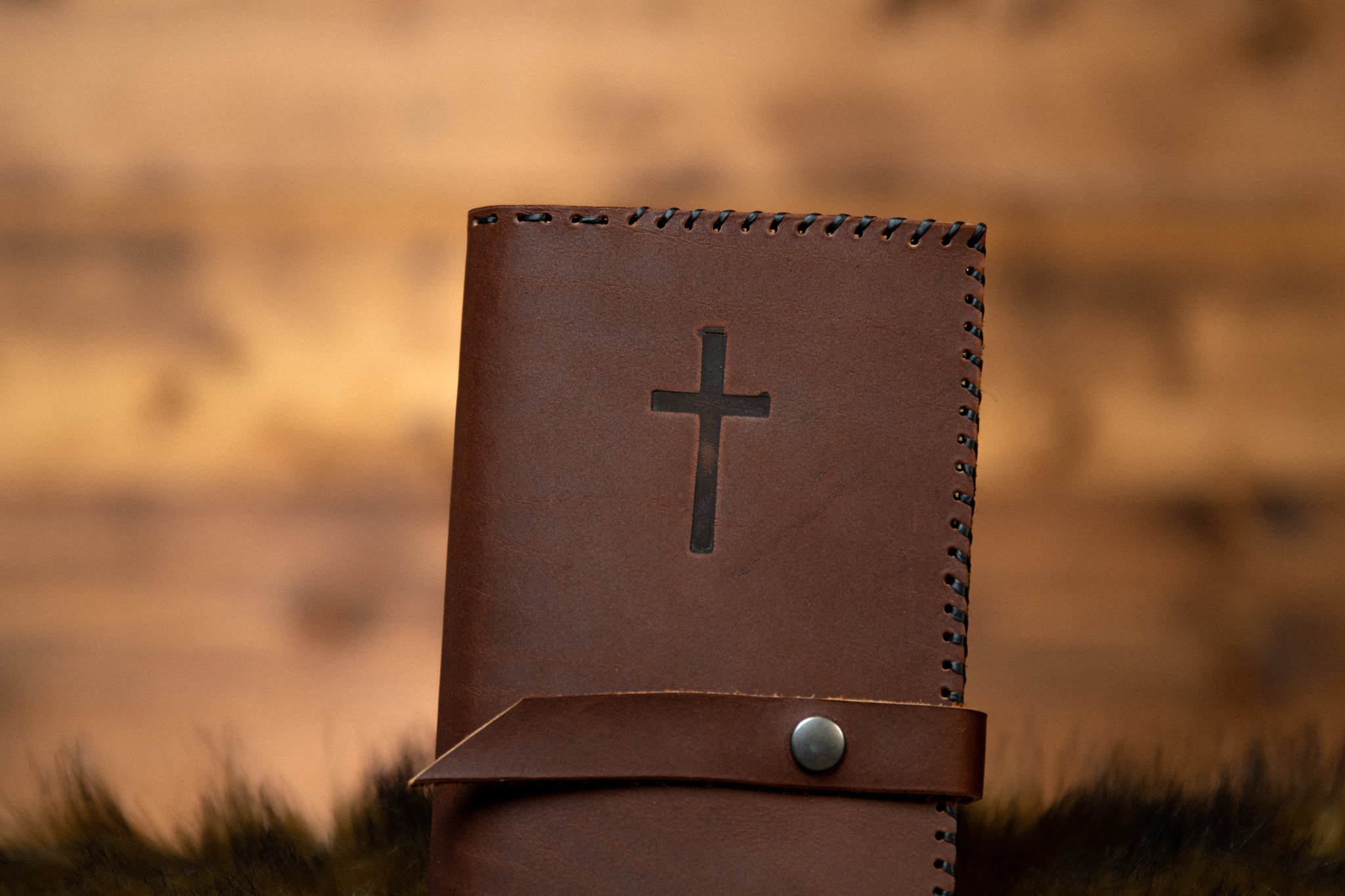 Moose Magnificat Cover-2.jpg