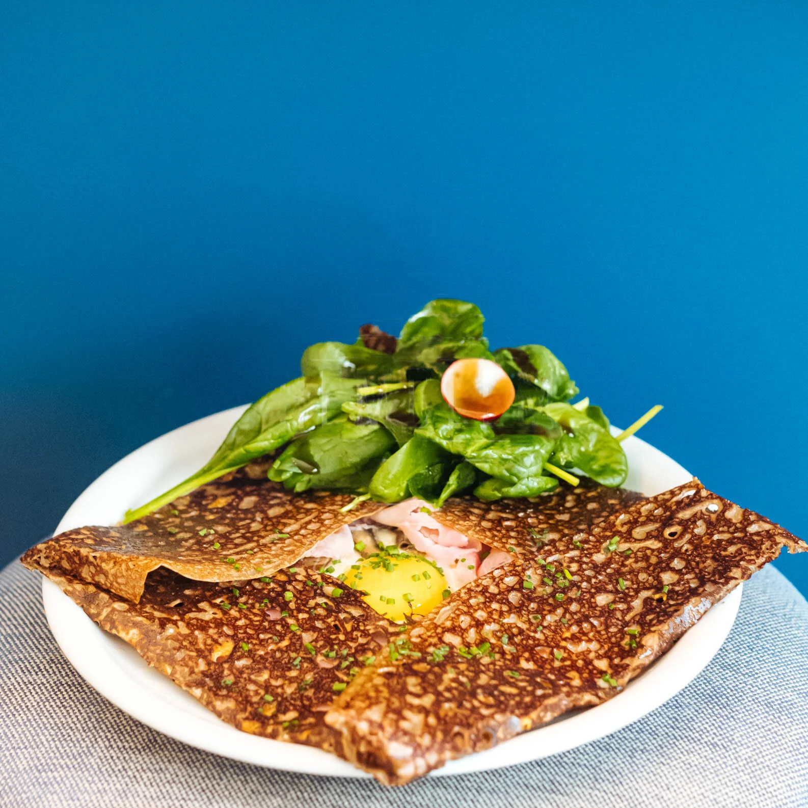 1-Brutus_102019_sebastien_75 copie.jpg