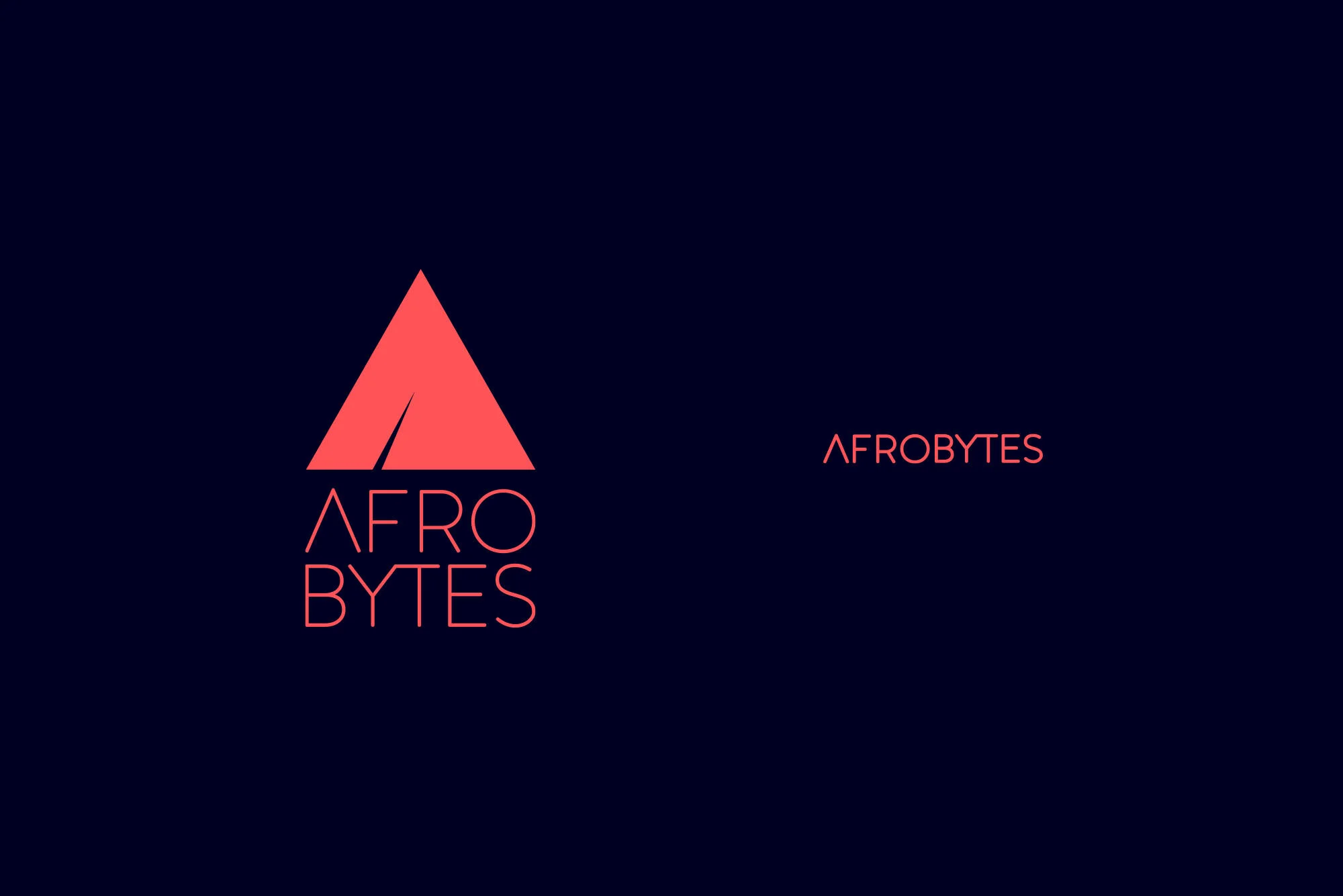AFROBYTE05 copie.jpg
