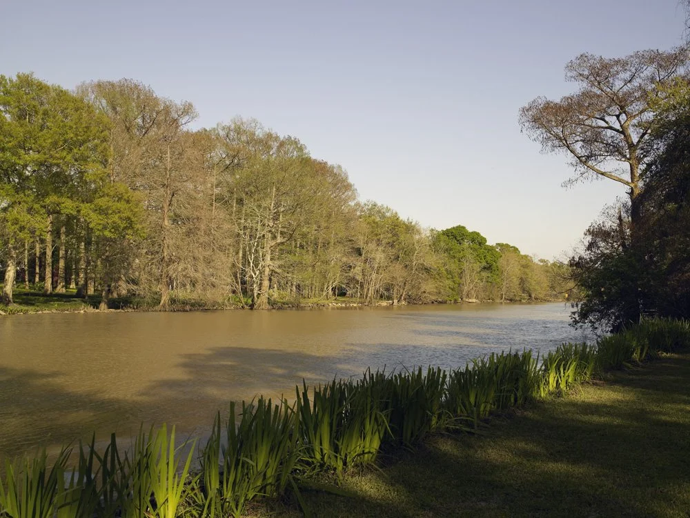 Brown colored waterway flowing between two land banks. In background, green leafed trees. In foreground, iris plants and green grass.