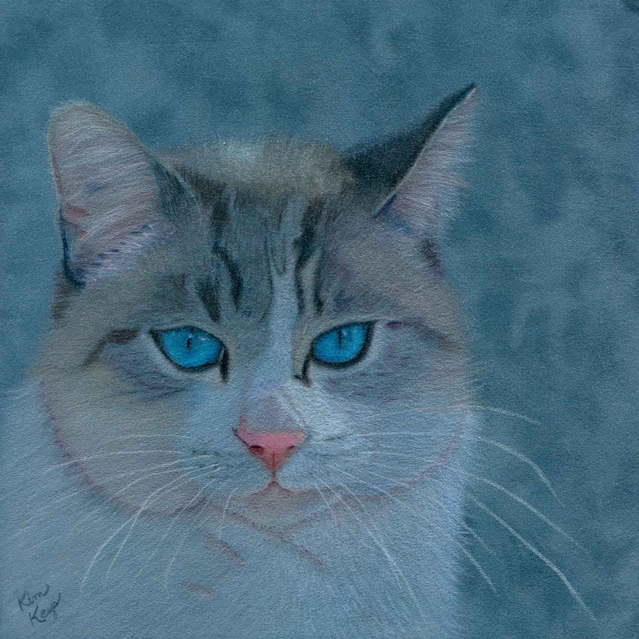 Duchess-Colored Pencil Portrait