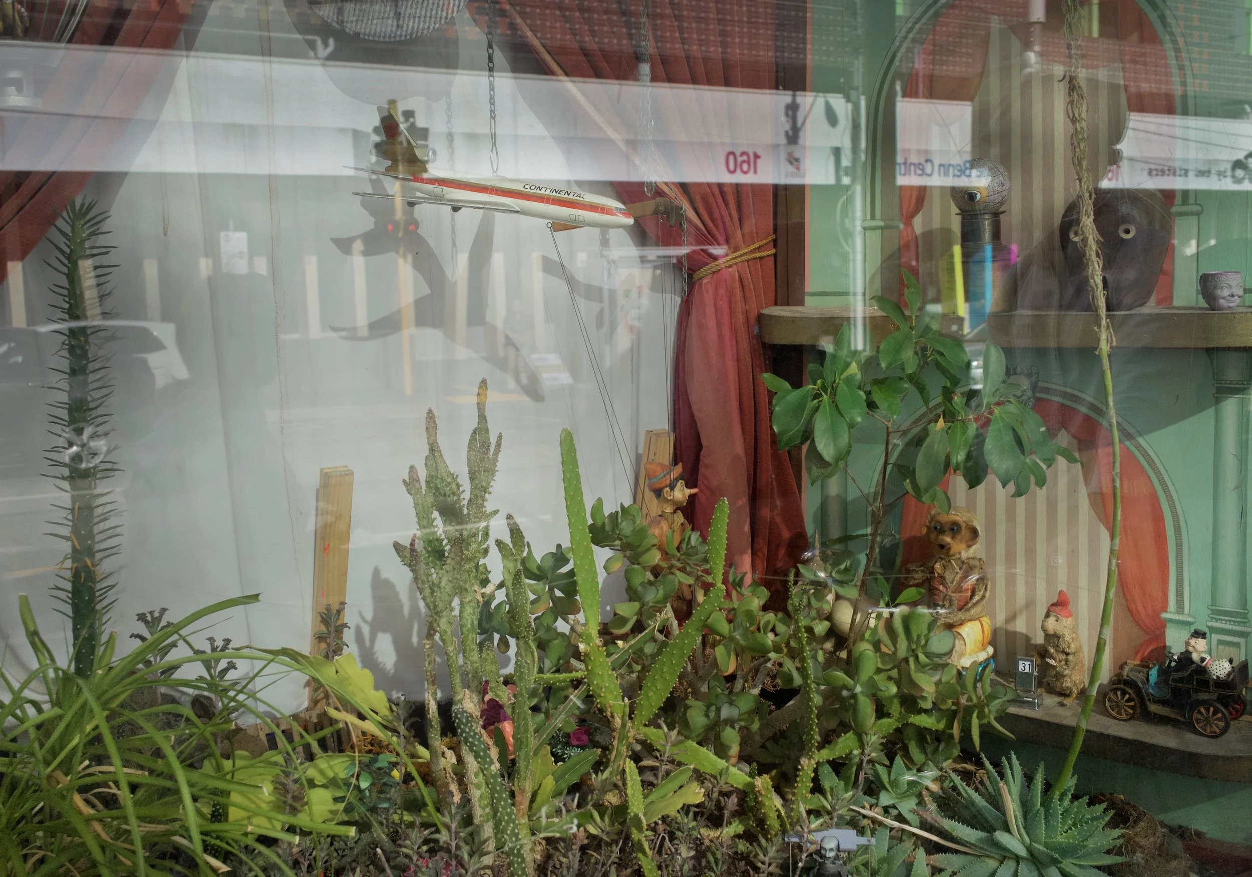 Eccentric Window Melbourne .jpg