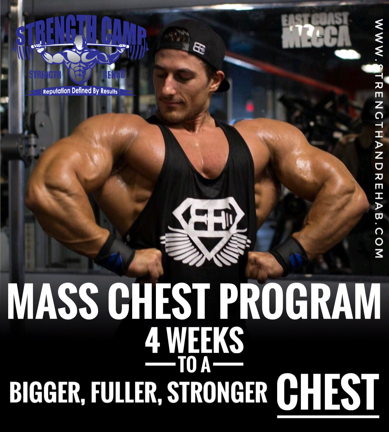 HOW TO BUILD A BIG CHEST - THE DETAILS 