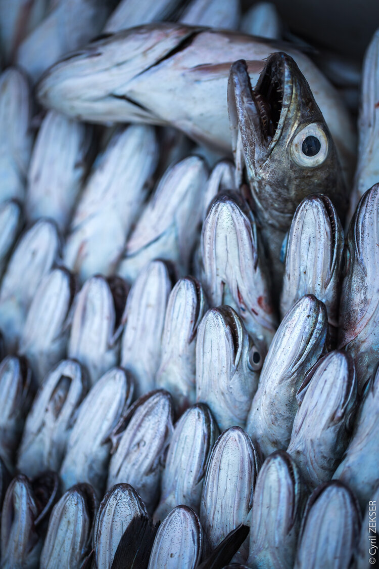 Cyril Zekser Photographe Culinaire