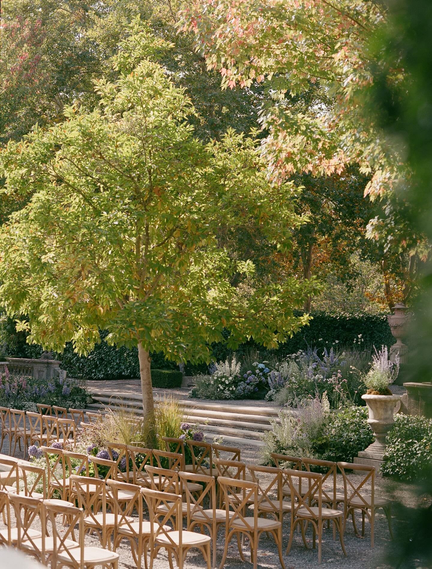 One of our favorite ceremony installations to date with @alisonandbryan last year at Beaulieu. Using hundreds of potted grasses and perennials layered with seasonal florals we softened the formal edges of this iconic garden space. Huge thanks to @nor