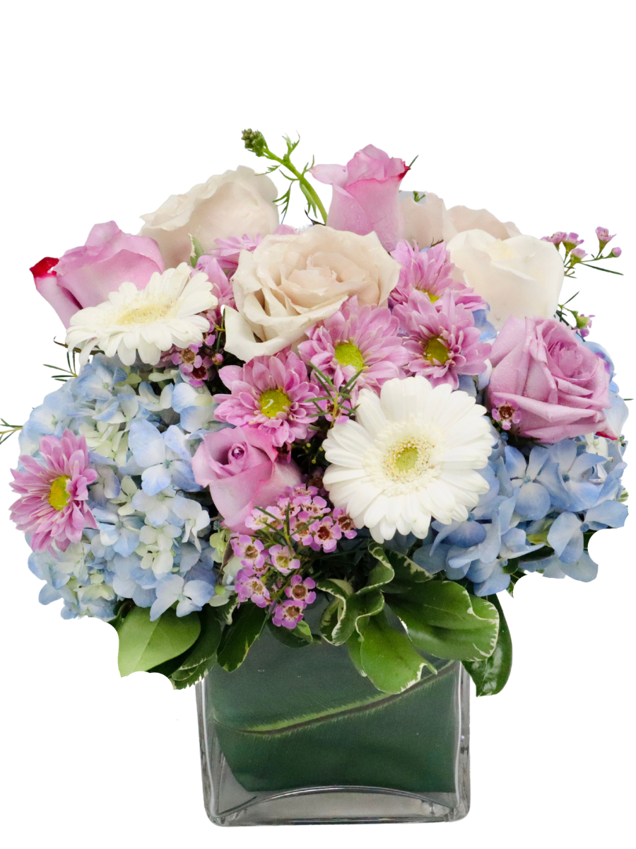 Tessfresh and Tessilk Flowers