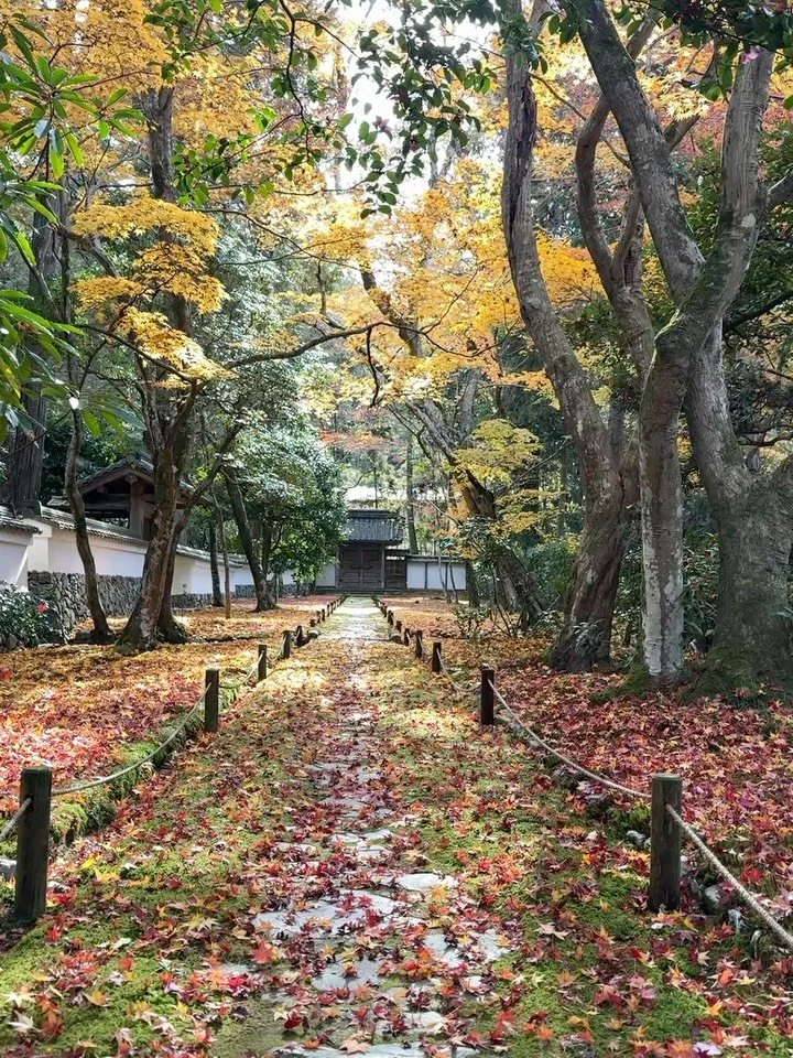 Moss temple day. I felt overwhelmed by beauty and the devotion that makes sharing this possible. 

Personal win: I brought headphones and played a Tibetan bowls playlist. You can&rsquo;t make others be quiet, after all. 

Thanks for the rec @heatherk