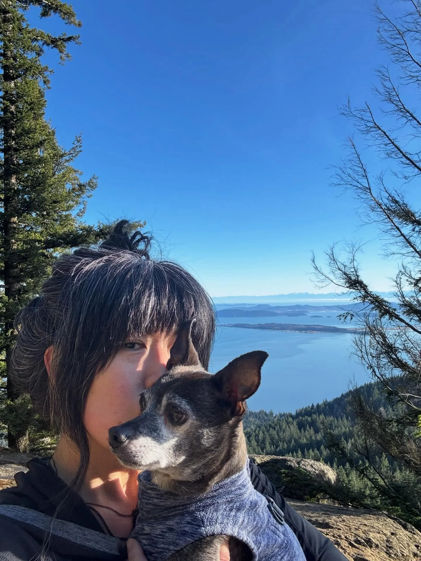 Happy two year Bellingham anniversary to us! There&rsquo;s a feeling of possibility here that I can&rsquo;t fully describe yet feel completely in my bones. @bertwaynebatdog I love you so much, thanks for being my most loyal companion!