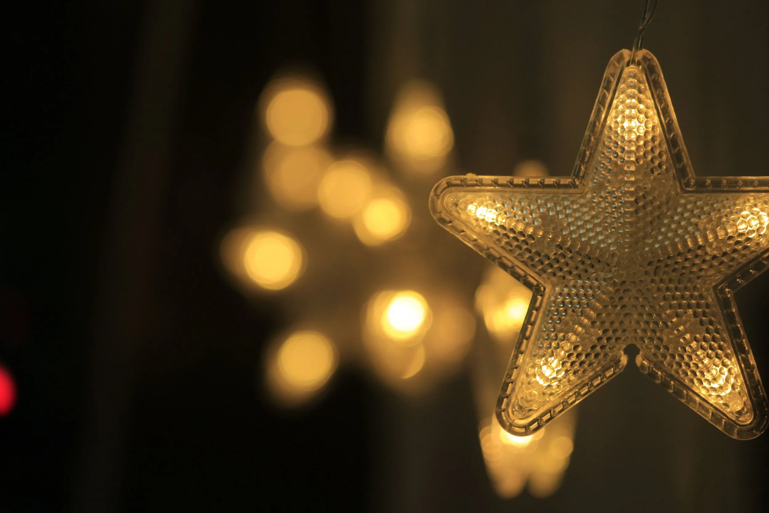 December 19, Luminous Lights!