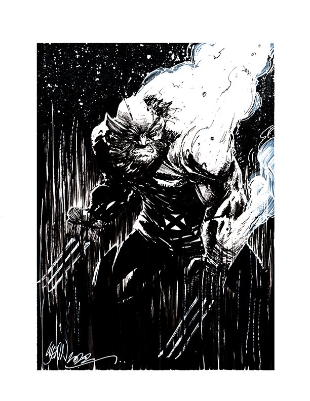 wolverine warmup.jpg
