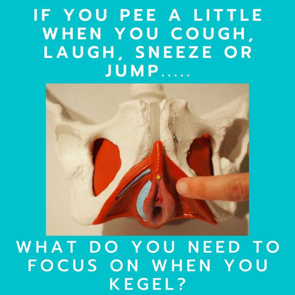 If you pee a little when you cough, laugh, sneeze, or jump... — Merriman  Pelvic Health