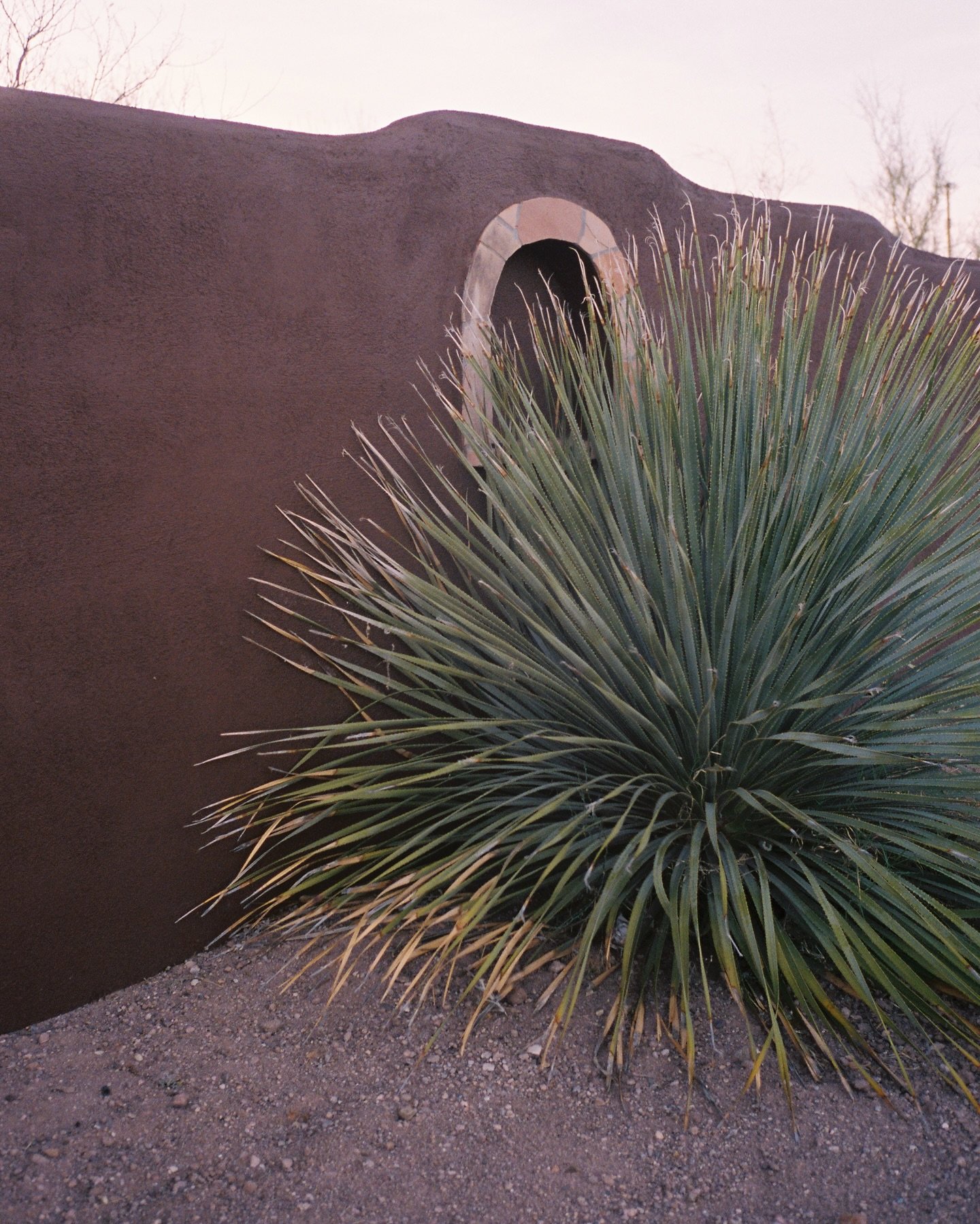 a little slower out here

Tucson, Sedona &amp; Scottsdale on film