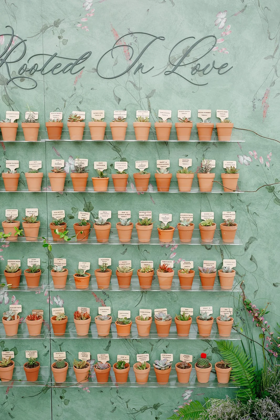 The Kruks Photography-719.jpg