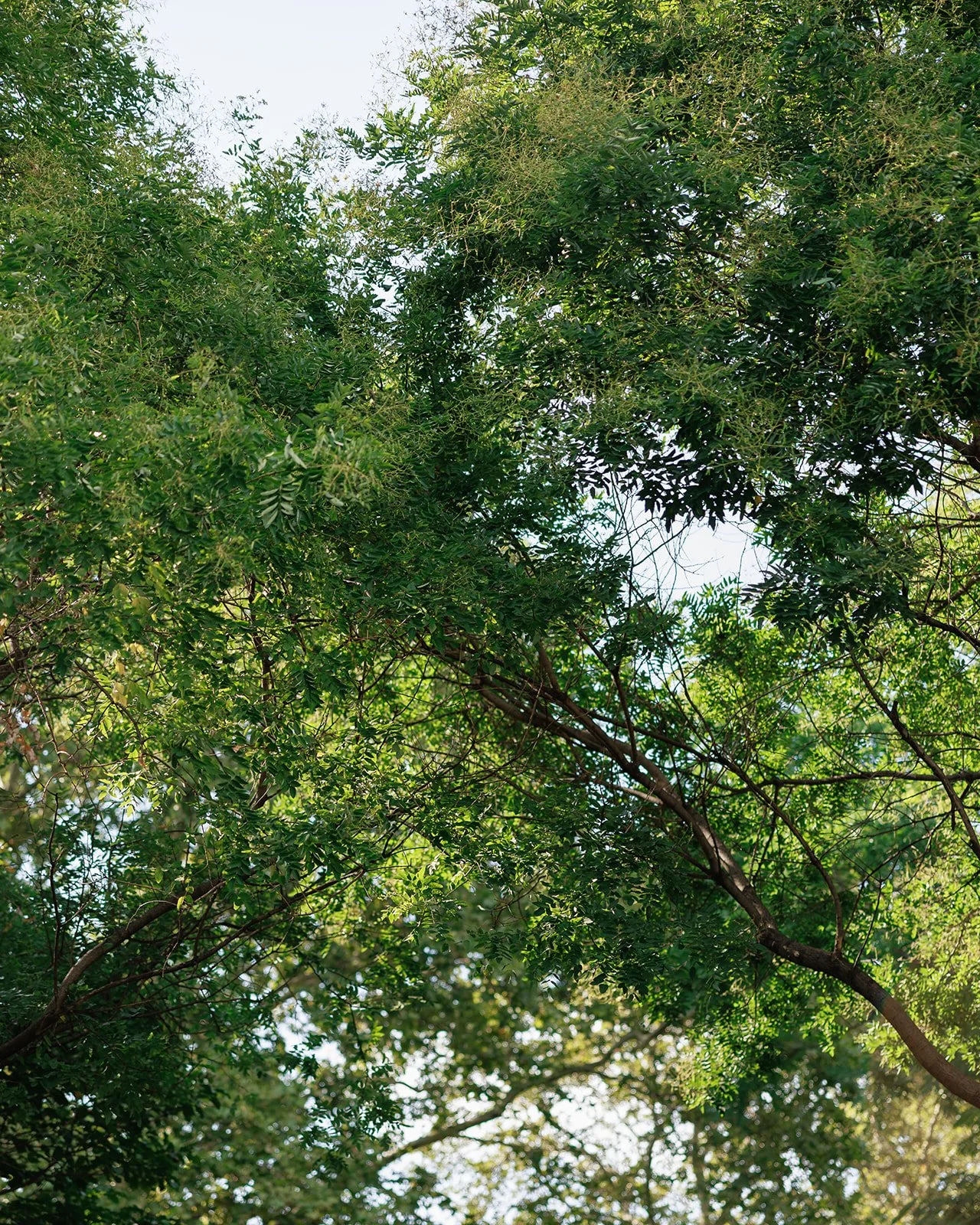 The Kruks Photography-465.jpg