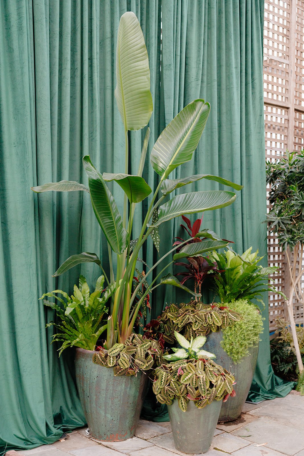 The Kruks Photography-1230.jpg