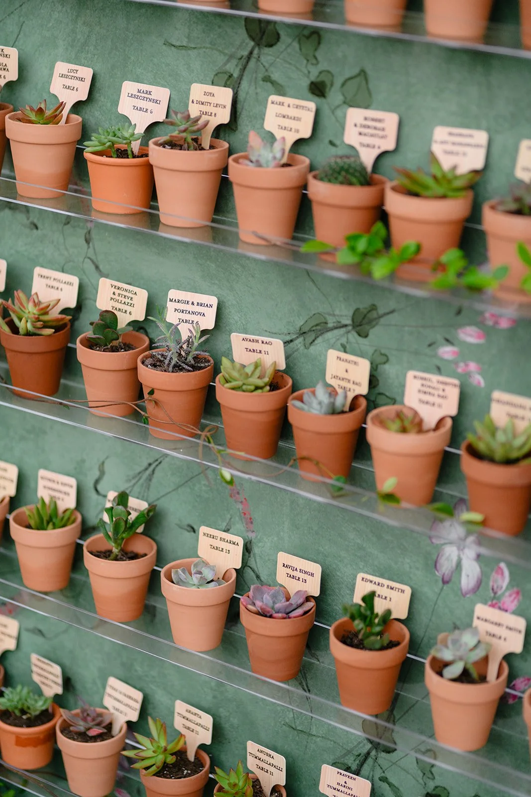 The Kruks Photography-1017.jpg