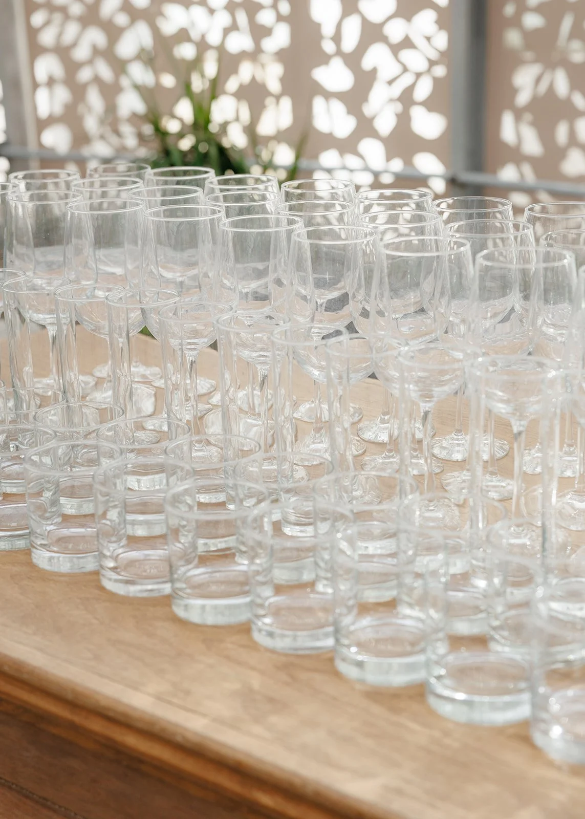 The Kruks Photography-703.jpg