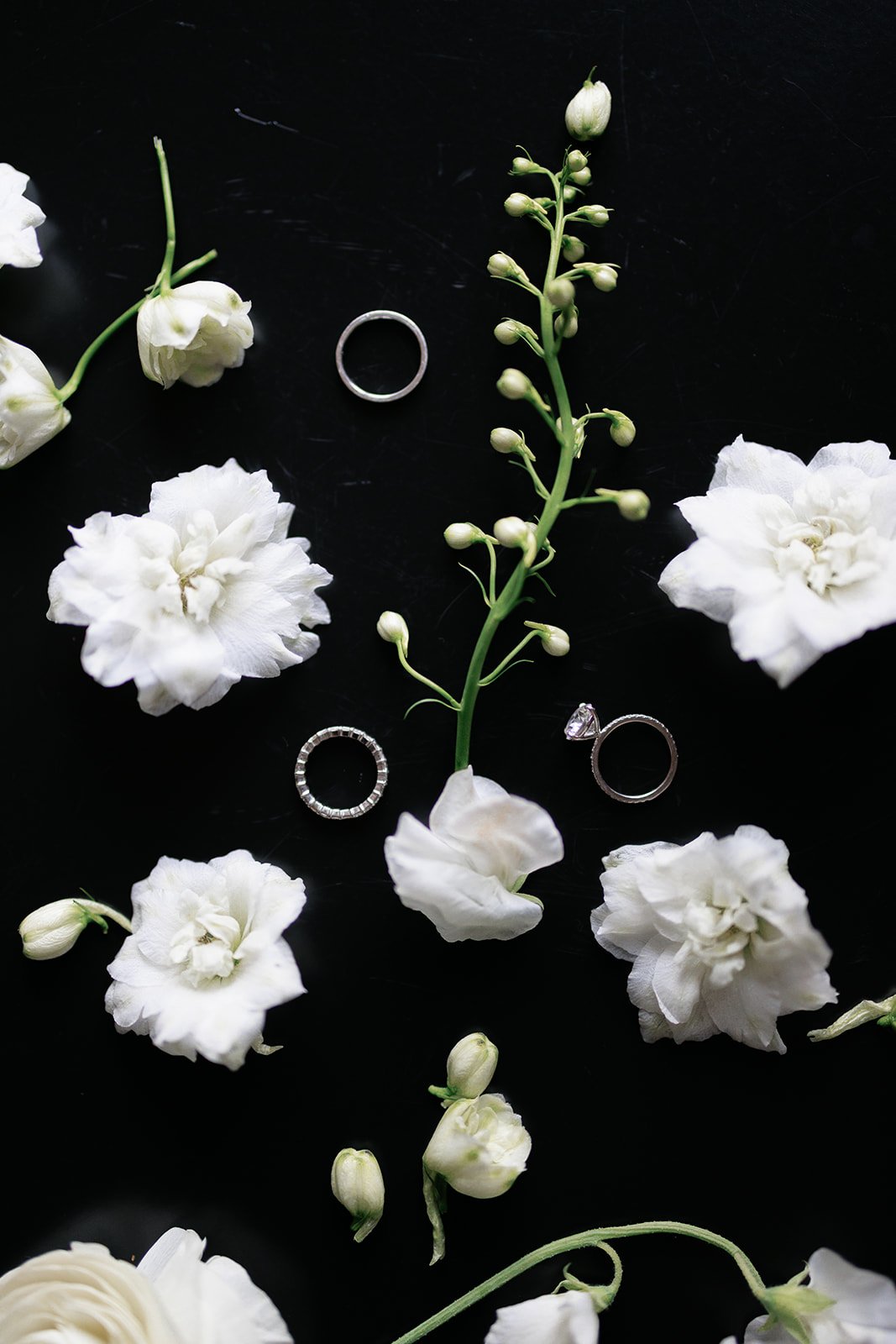 The Kruks Photography-53.jpg