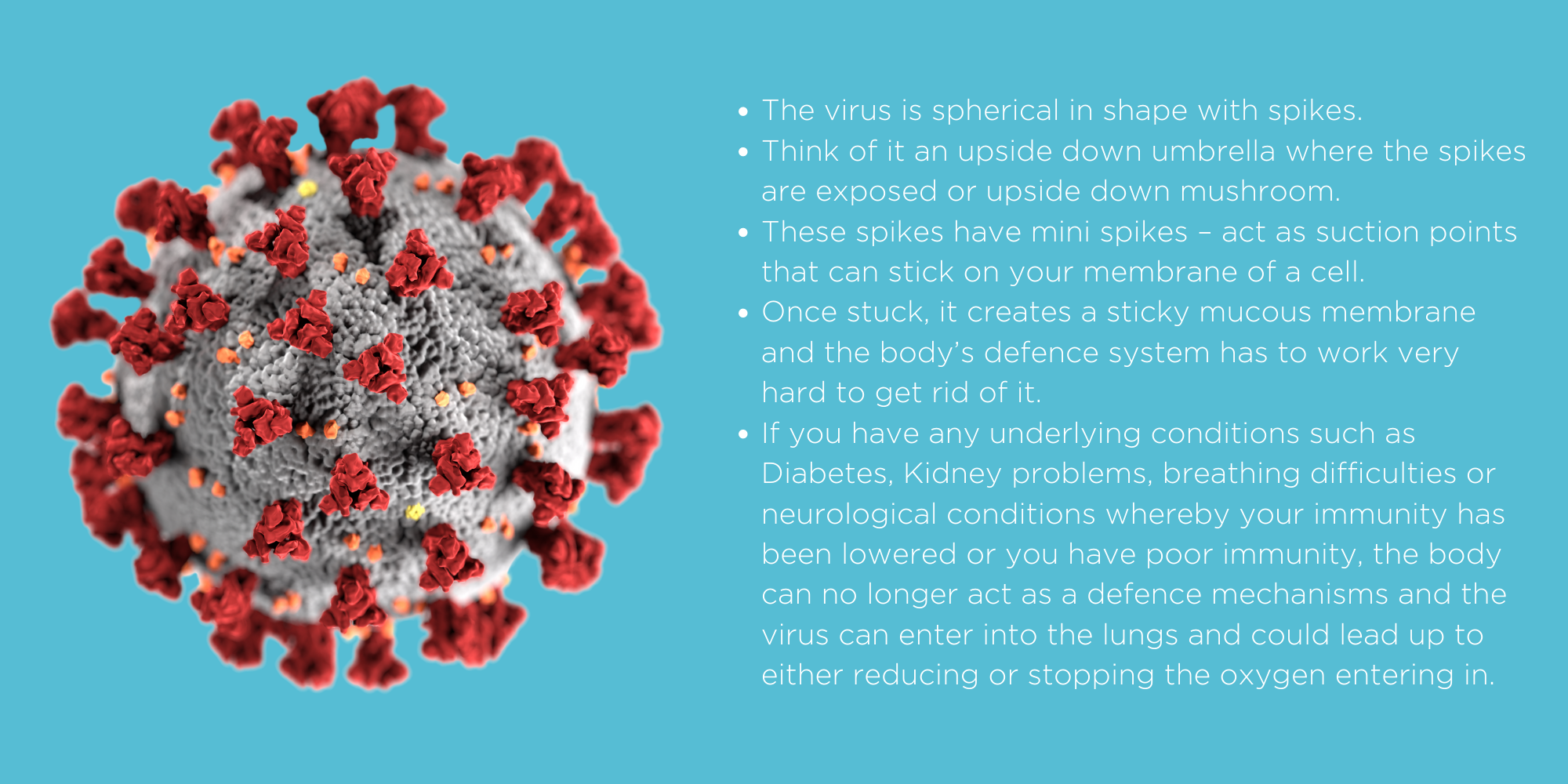 Covid Post Image 1.png