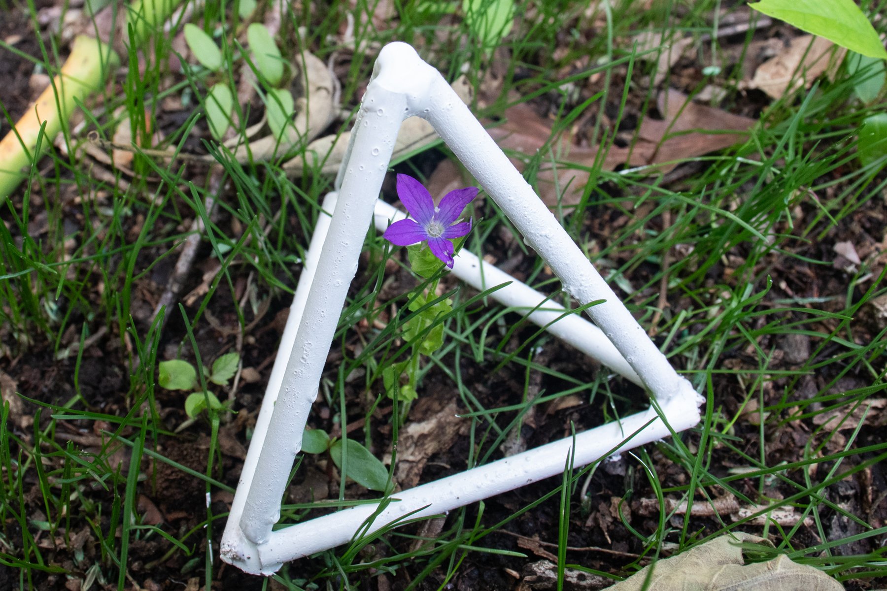 Adah - Creative Perspectives