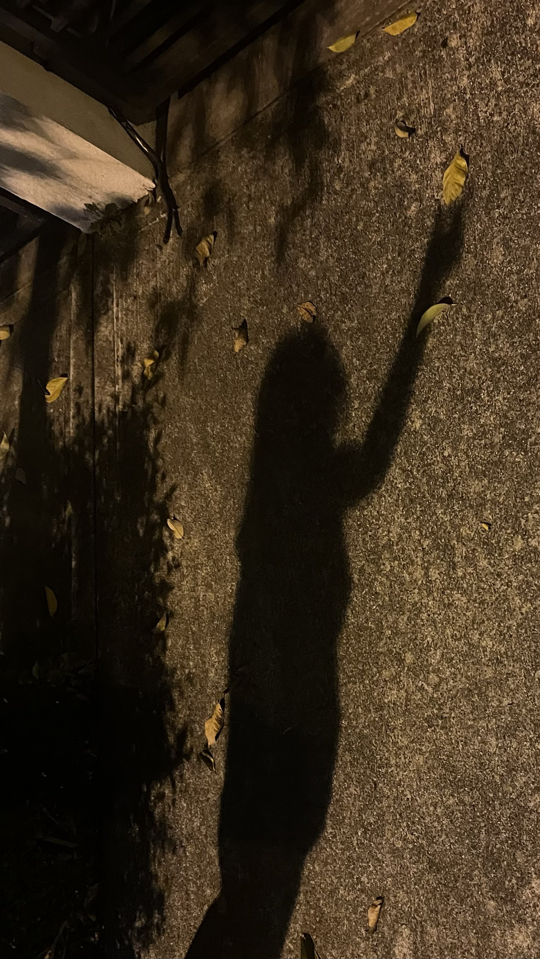 Mifaye - Smartphone Photography