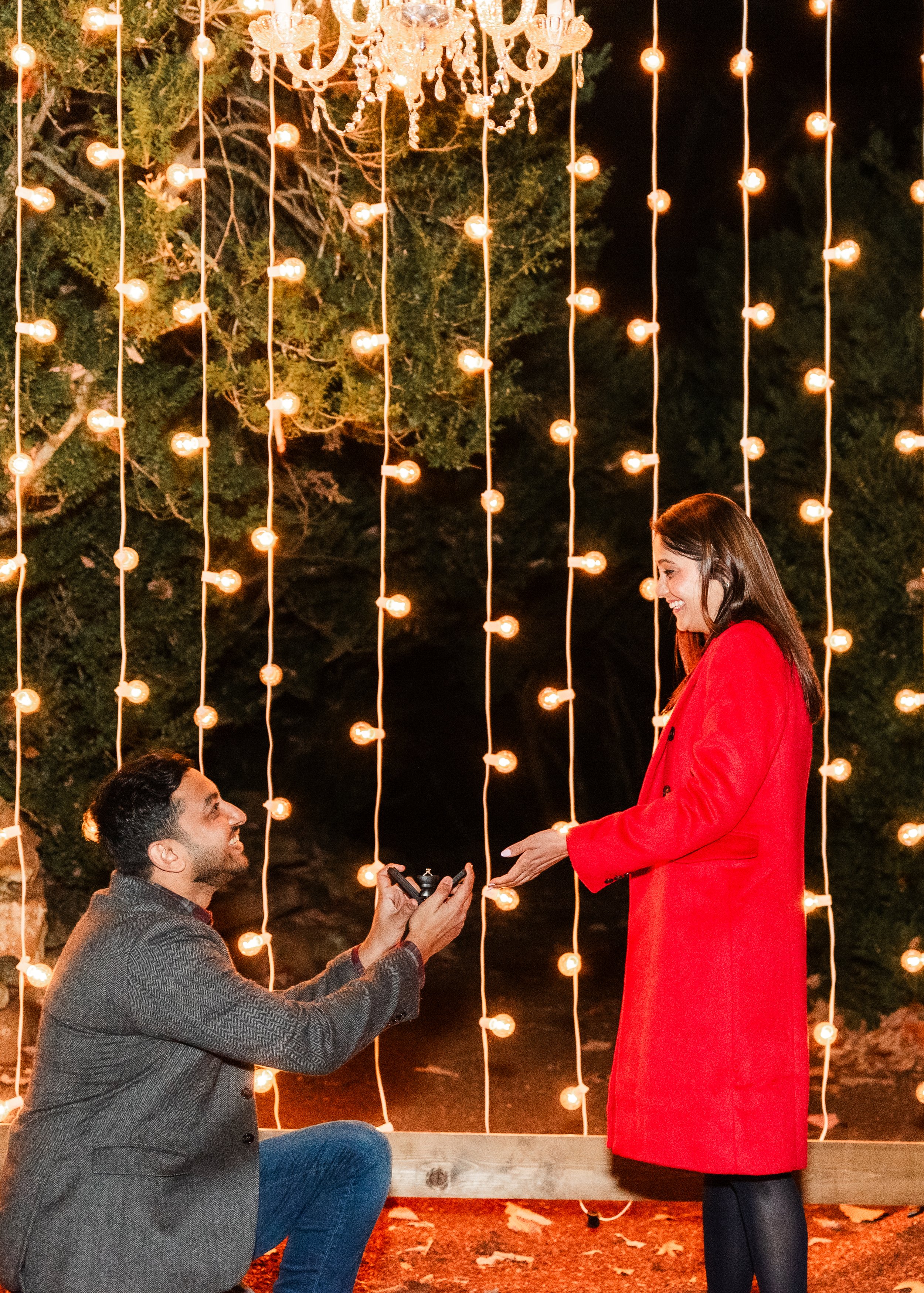Fenil_Cheekwood_Christmas_Proposal_6210.jpg