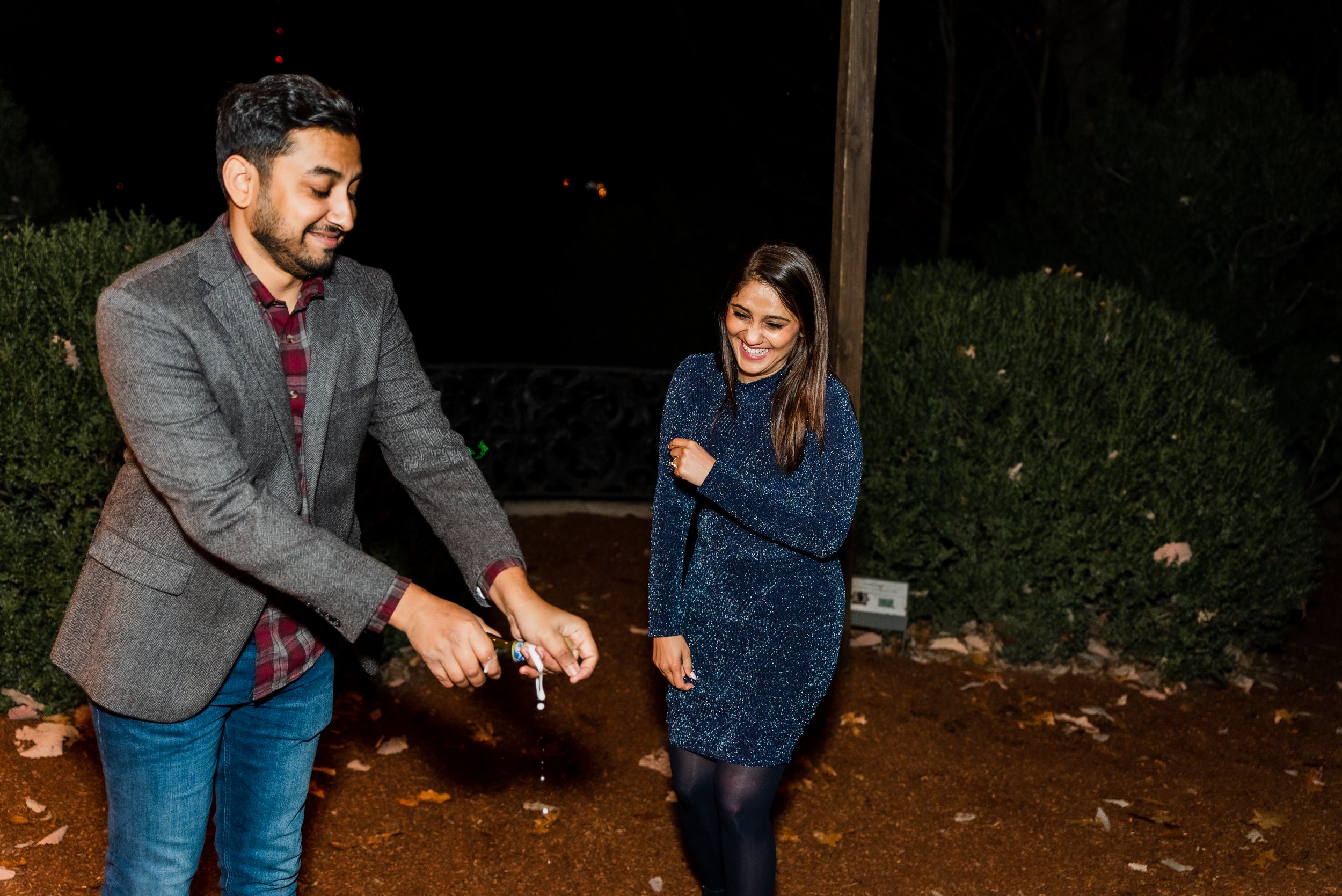 Cheekwood Christmas Lights Proposal