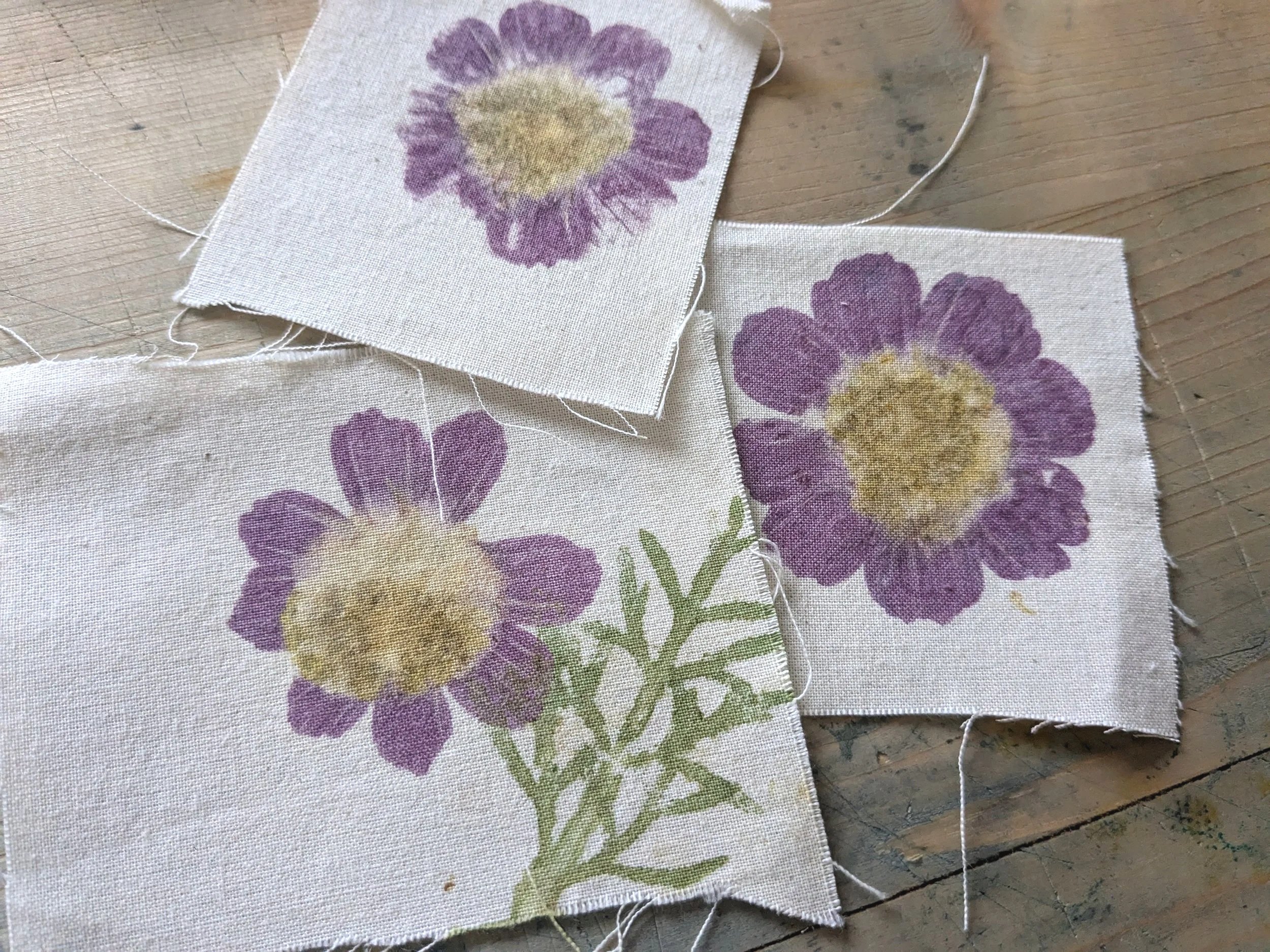 Botanical prints on textile