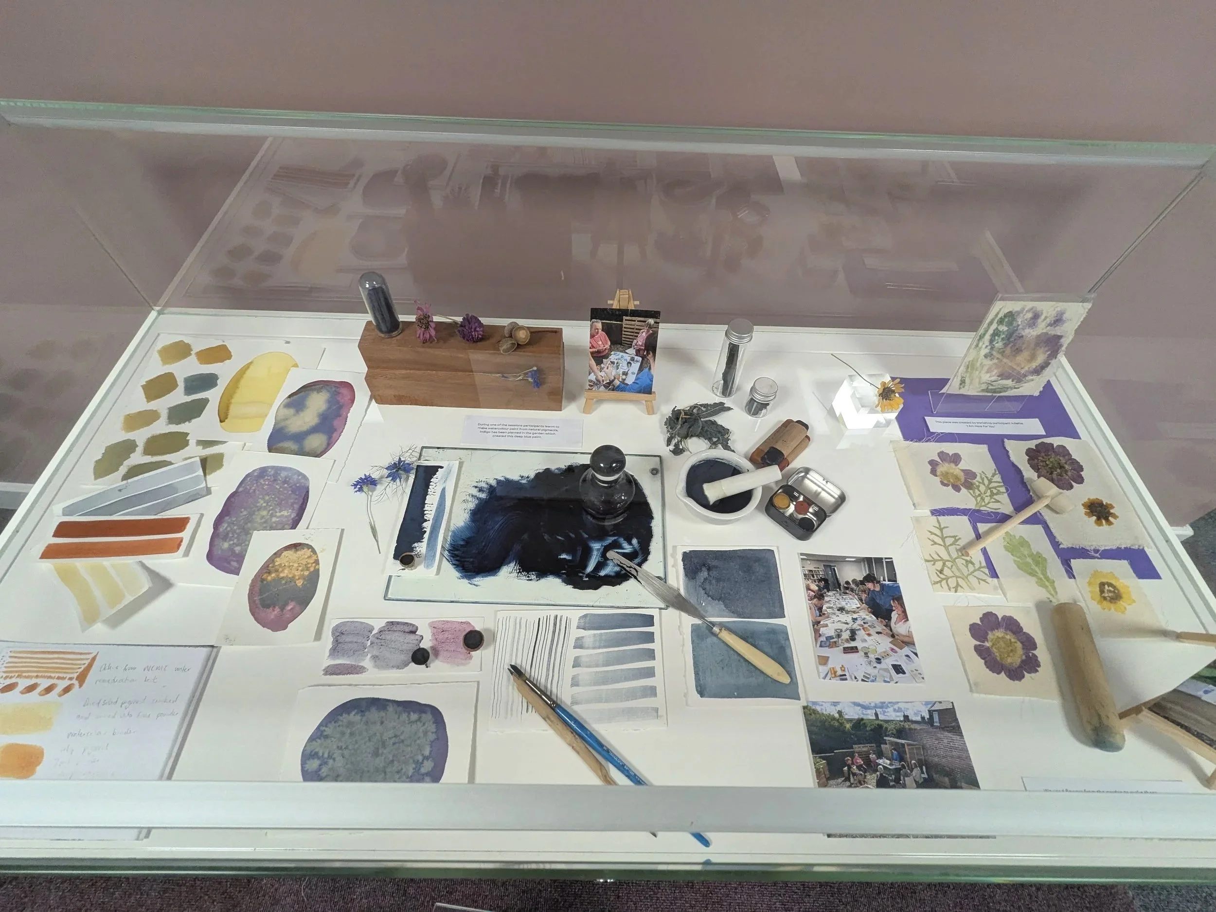 PXL_20251014_114810635.jpg