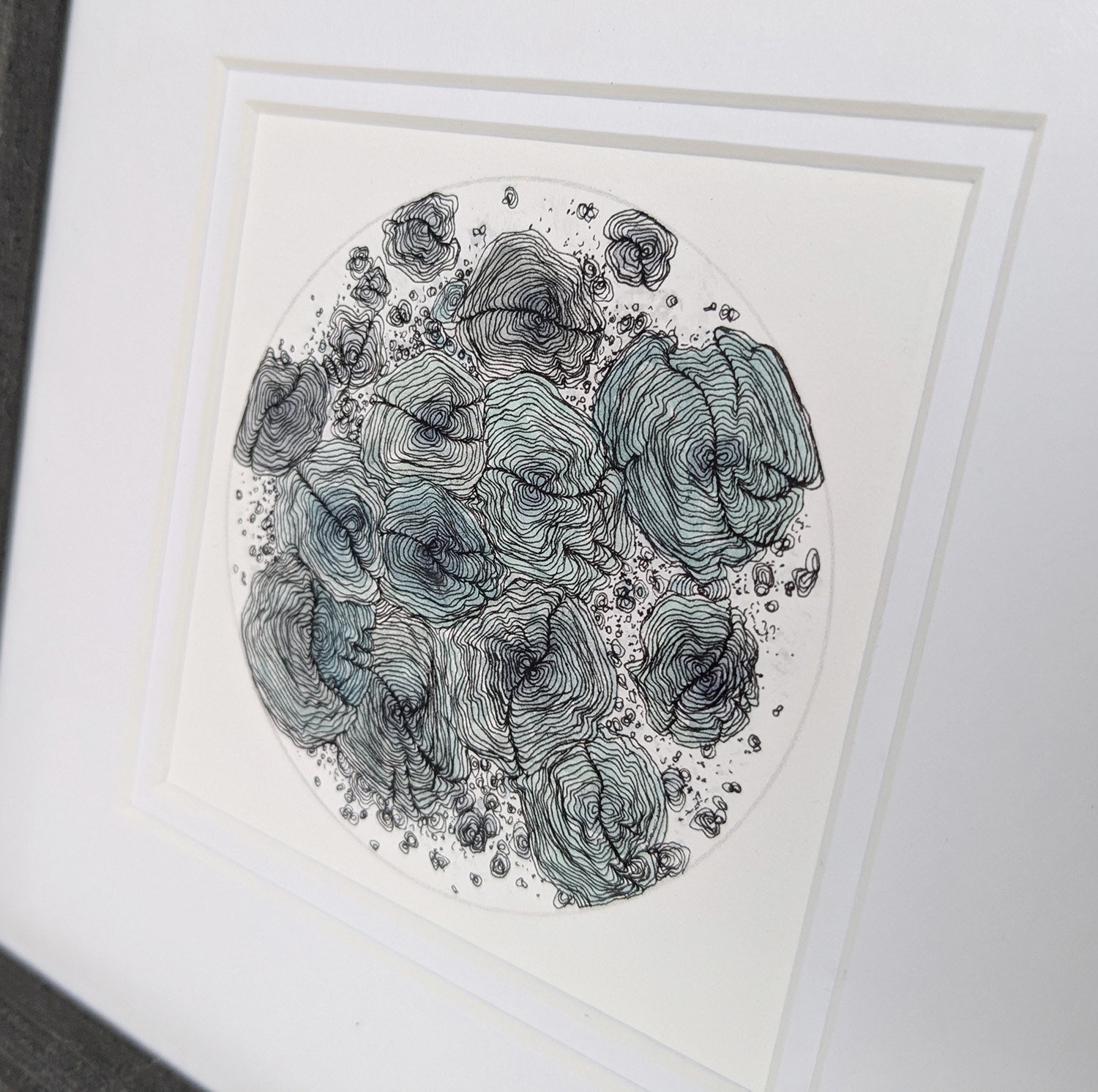 drawn petri dish. adjusted for website..jpg