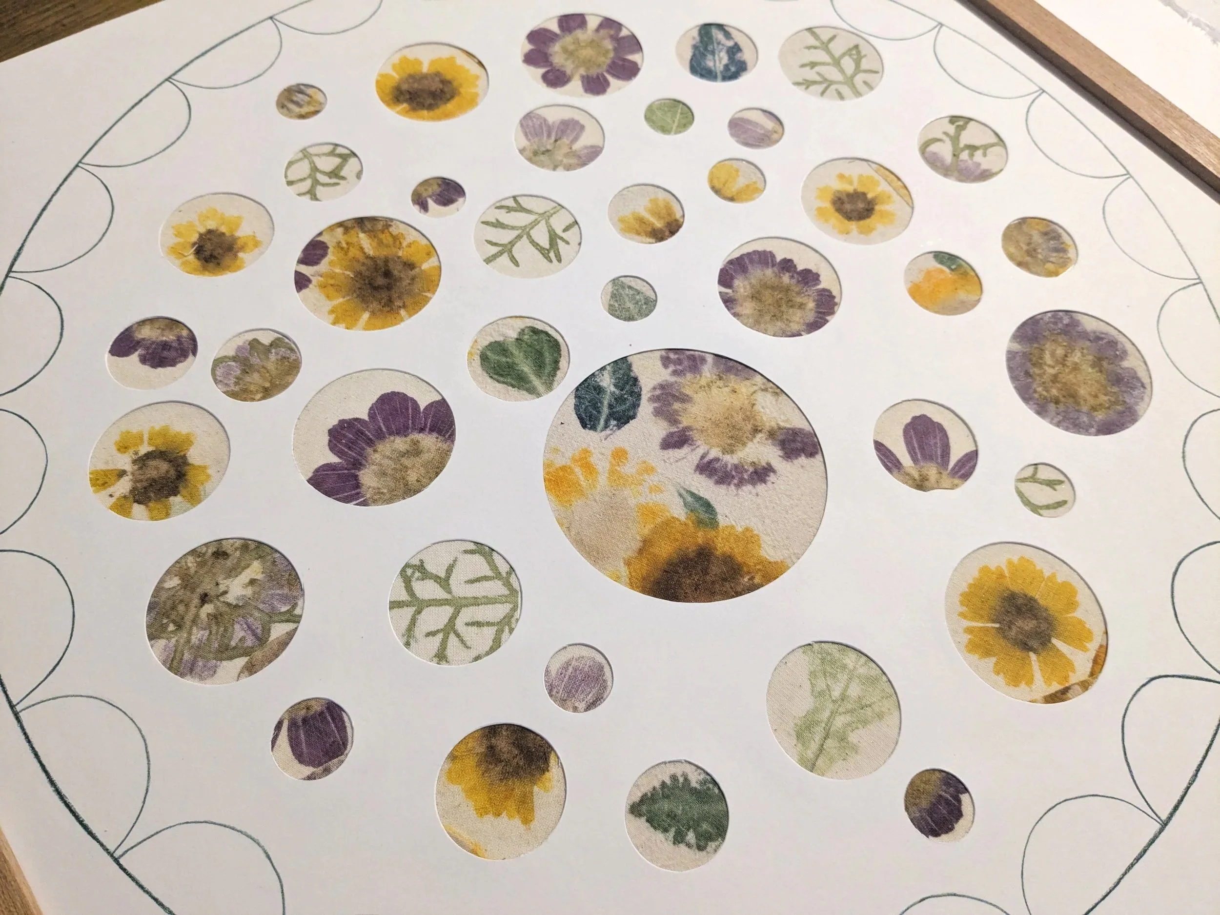 From Plant to Pigment