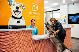 Dogtopia Desk.jfif