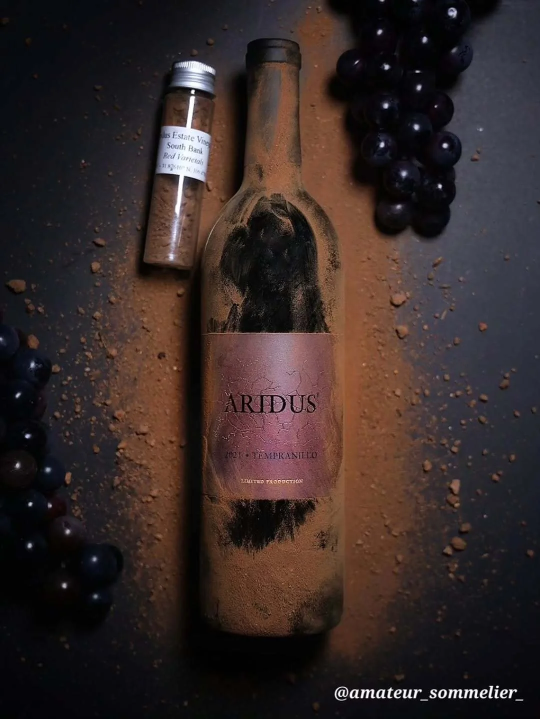 “A Bold &amp; Earthy Desert Masterpiece.”