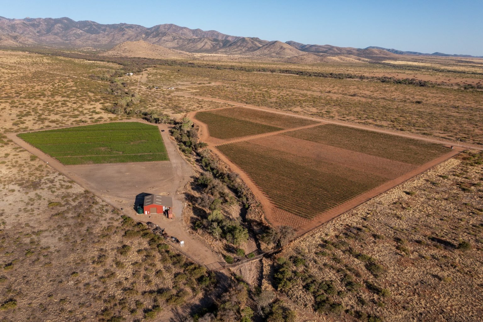High Elevation Viticulture in Arizona