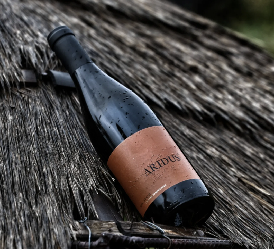 Amateur Sommelier Aridus Wine Co. Syrah Review 