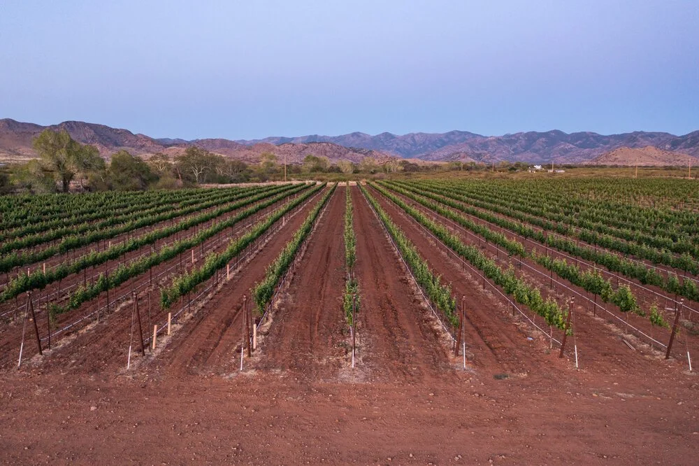 The Next World Class Wine Frontier: Desert&nbsp;Wine