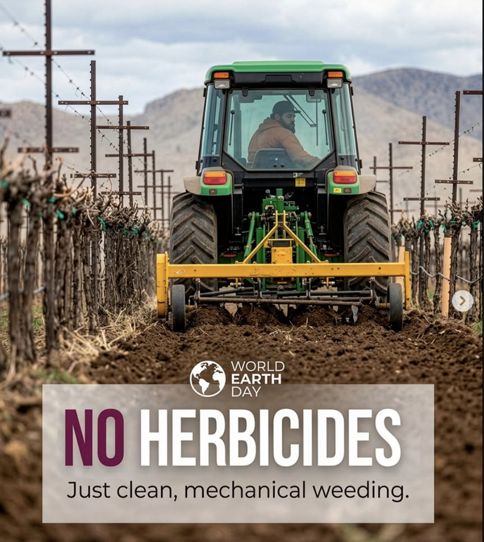 Clean Rows, Healthy Soil!