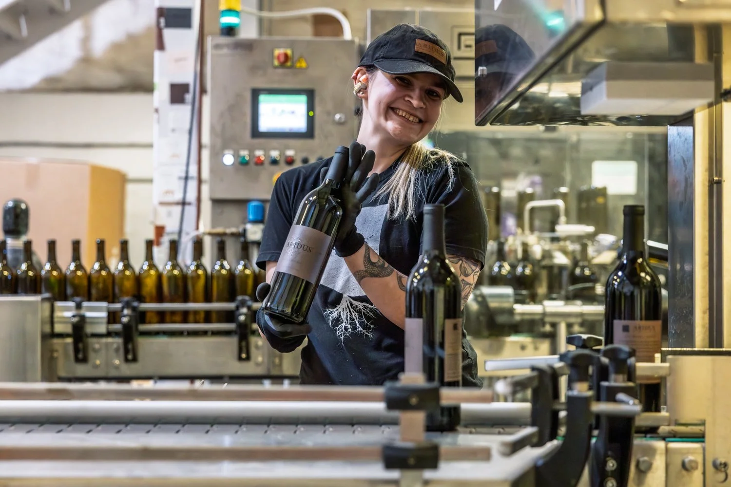 Update on winery activities as of June 3, 2026