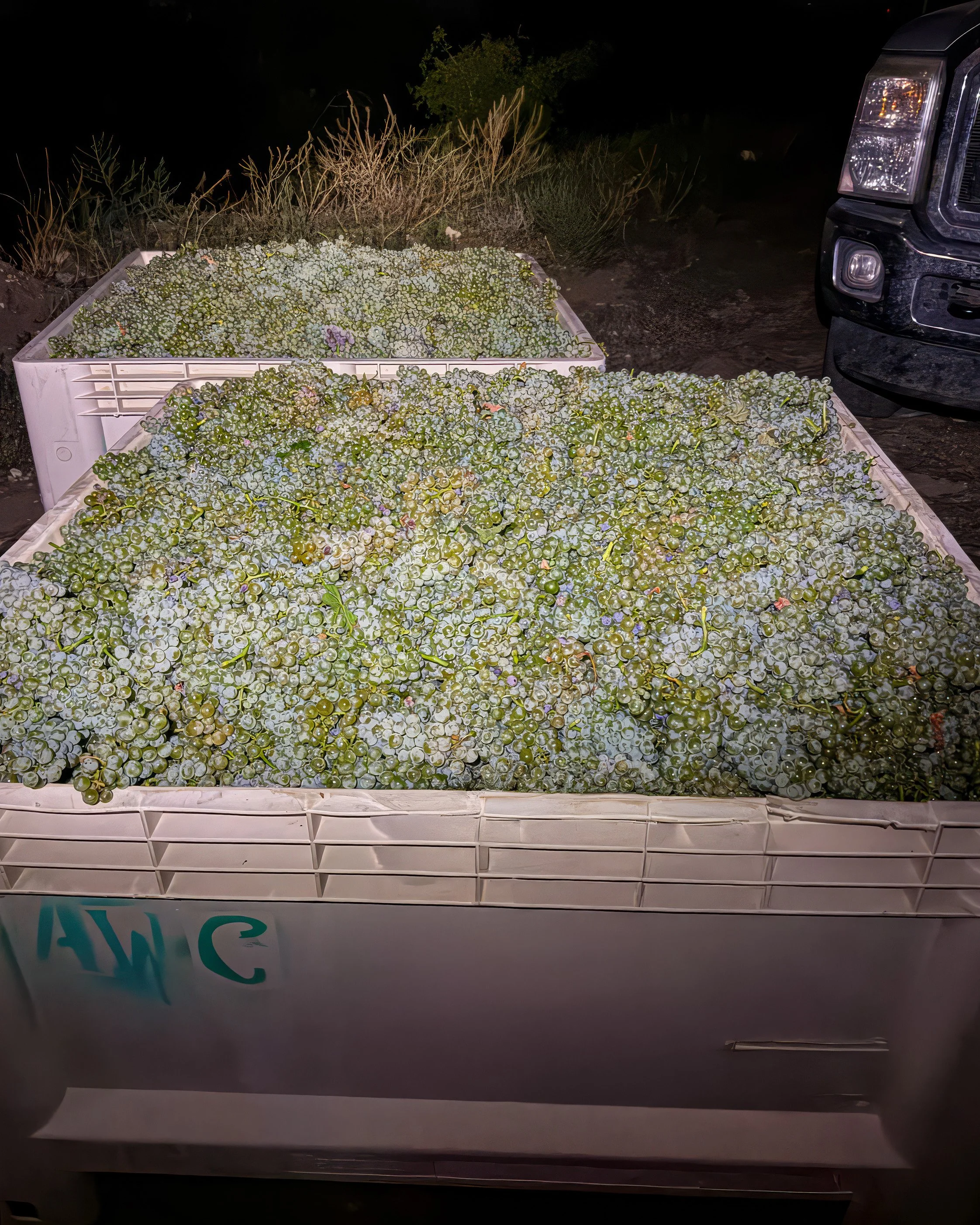 Harvest Begins at Aridus July 14th