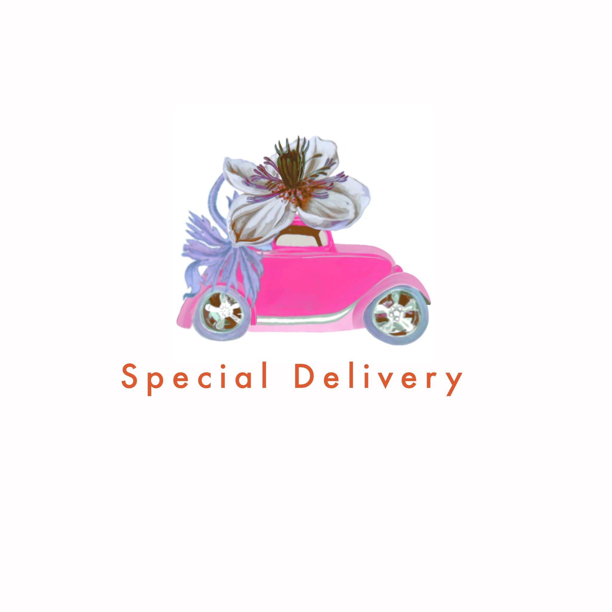 Special Delivery