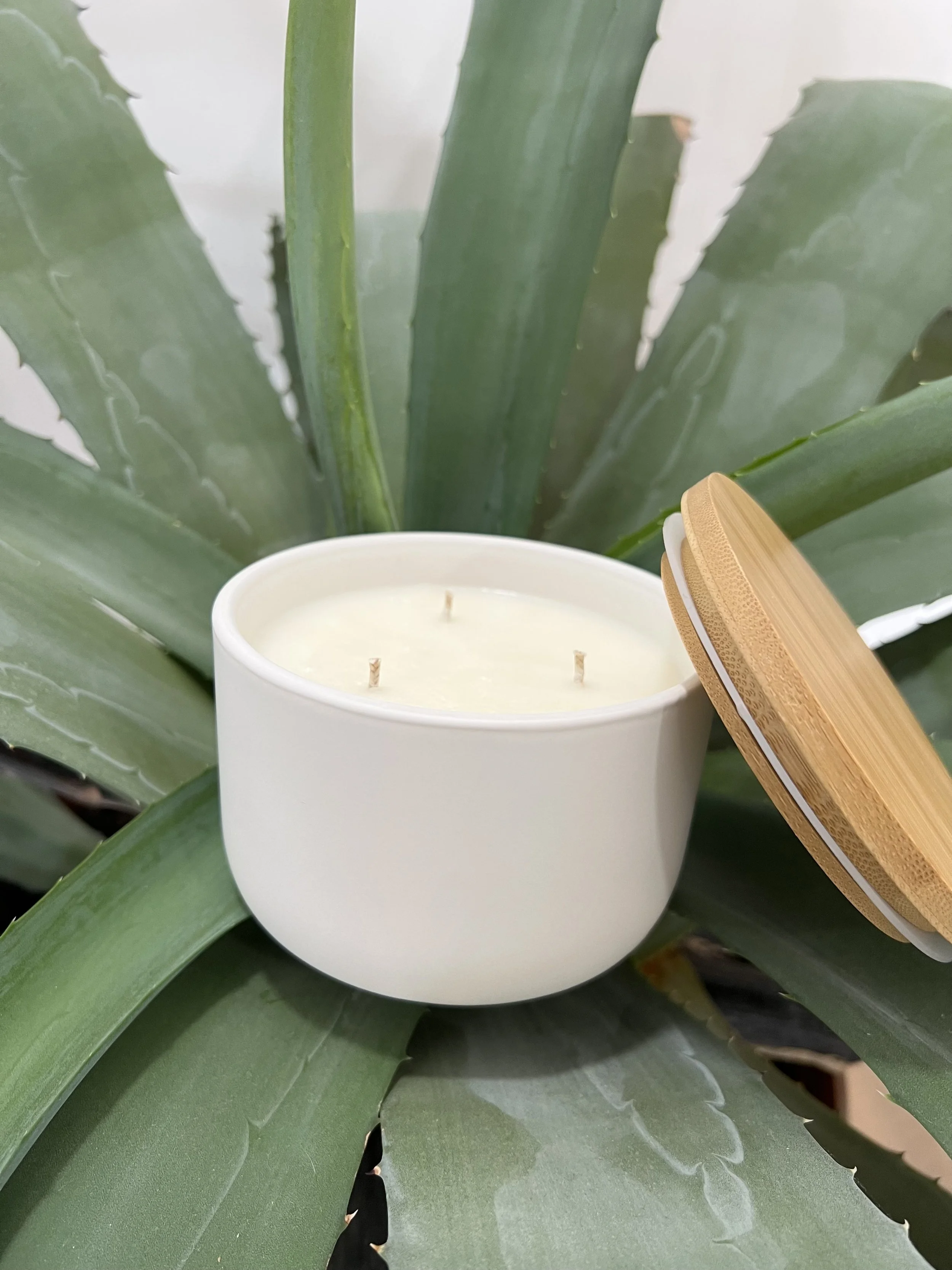 CANDLE BAR DSM MONTHLY SUBSCRIPTION — CANDLE BAR DSM
