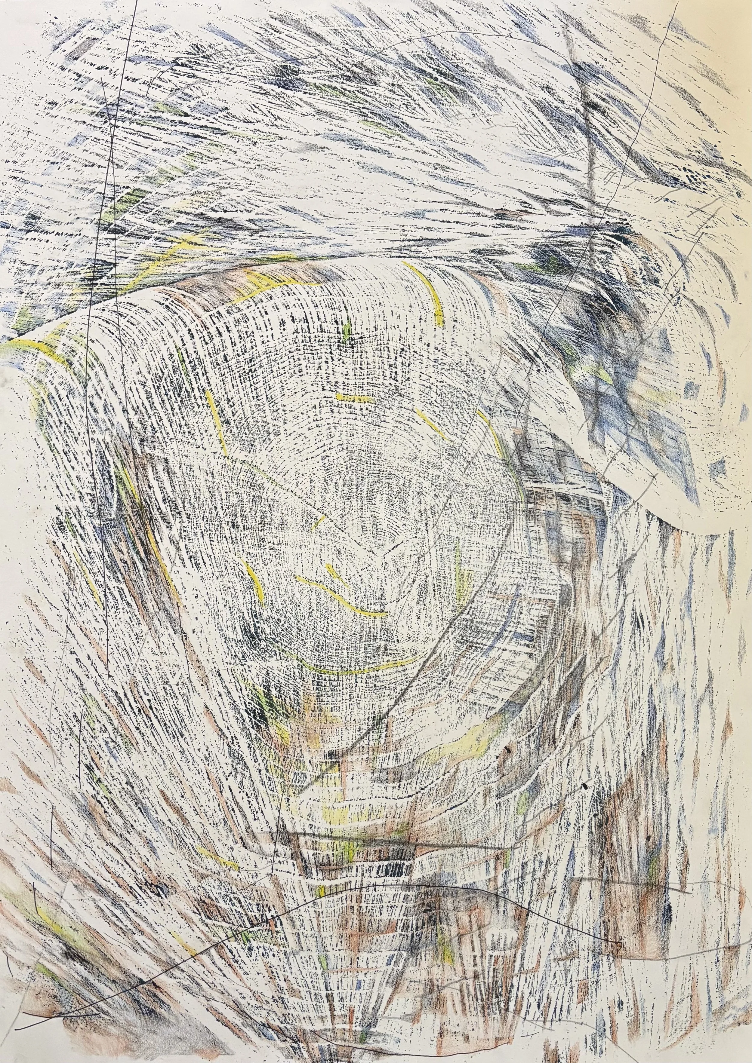 "Blueprint of life" ink and colored pencil on paper, 16 x 28, 2026