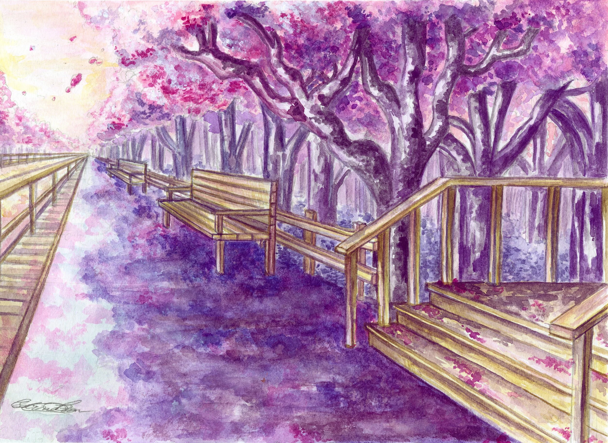 landscape sakura.JPG