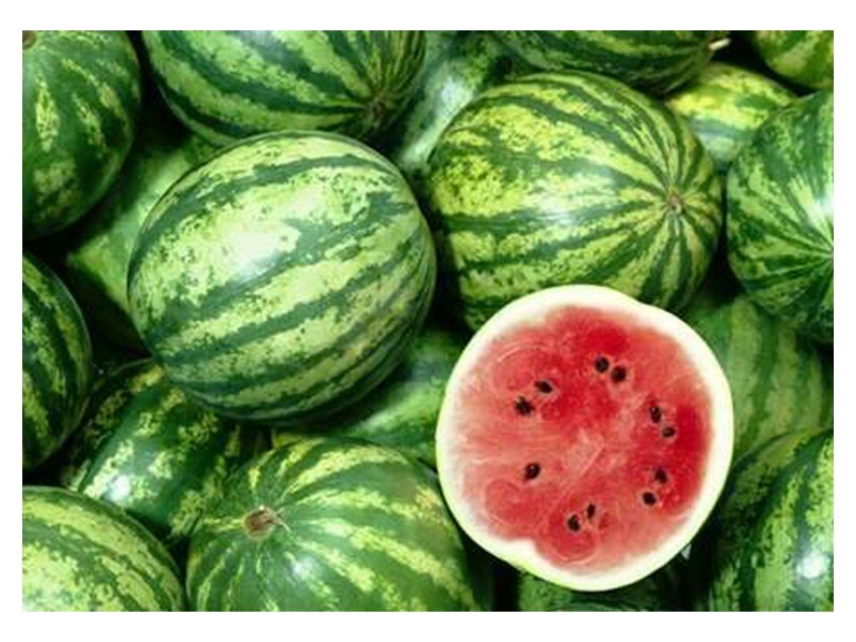 Watermelon