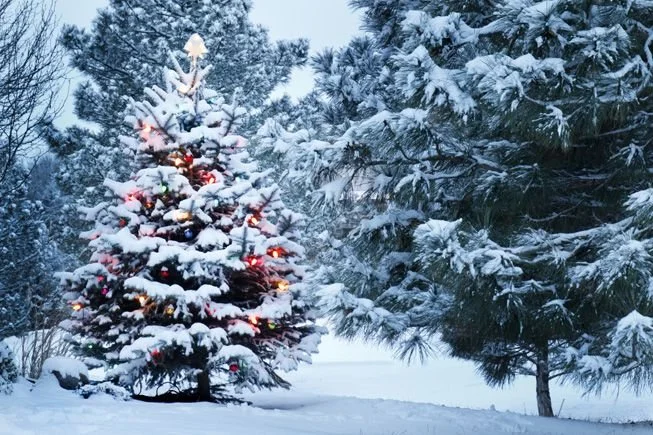 White Christmas