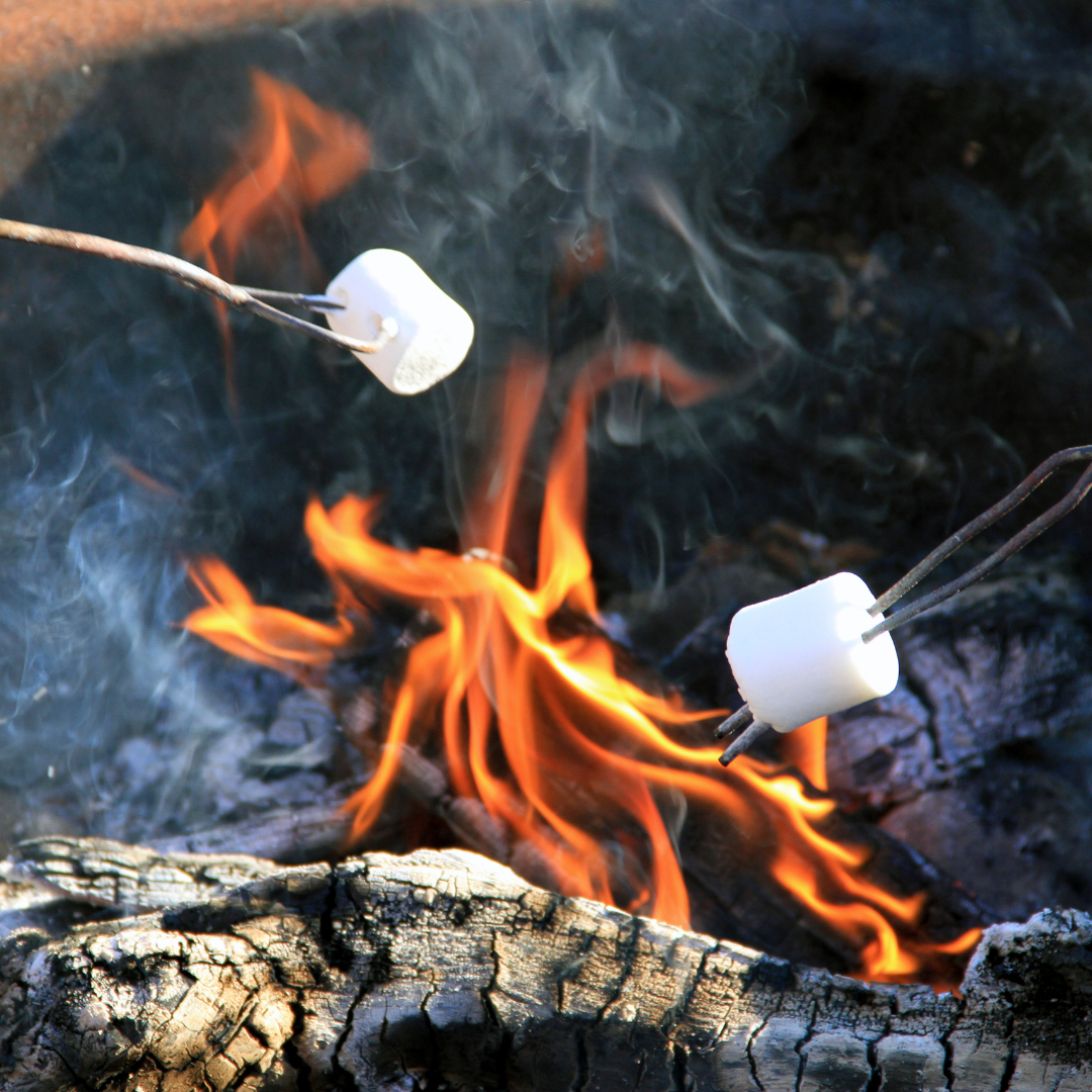 campfire marshmallow.png